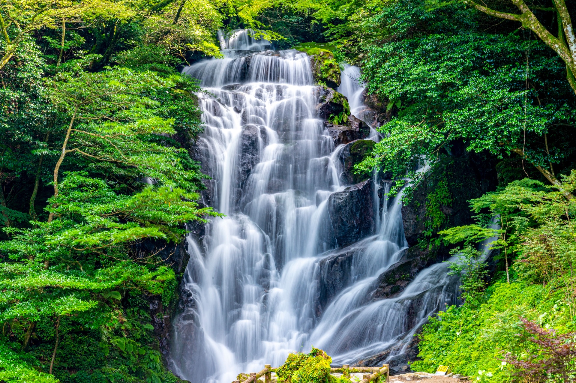 fukuoka_img05