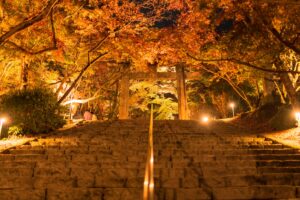 fukuoka_img09